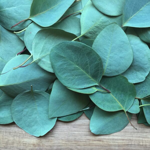 Eucalyptus Spearmint Natural Vegan Bar Soap - Image 6
