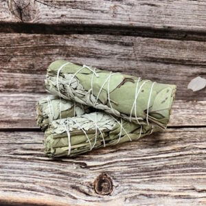 Eucalyptus Wrapped Sage Stick