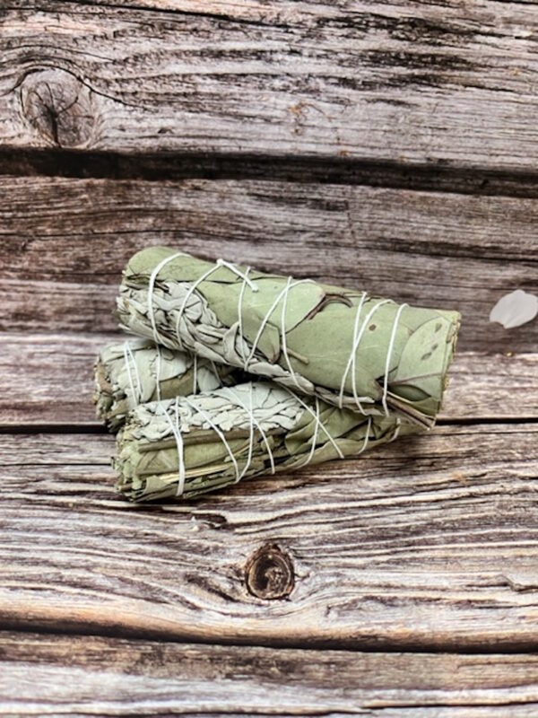 Eucalyptus Wrapped Sage Stick