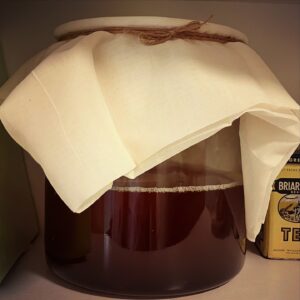 kombucha brewing workshop