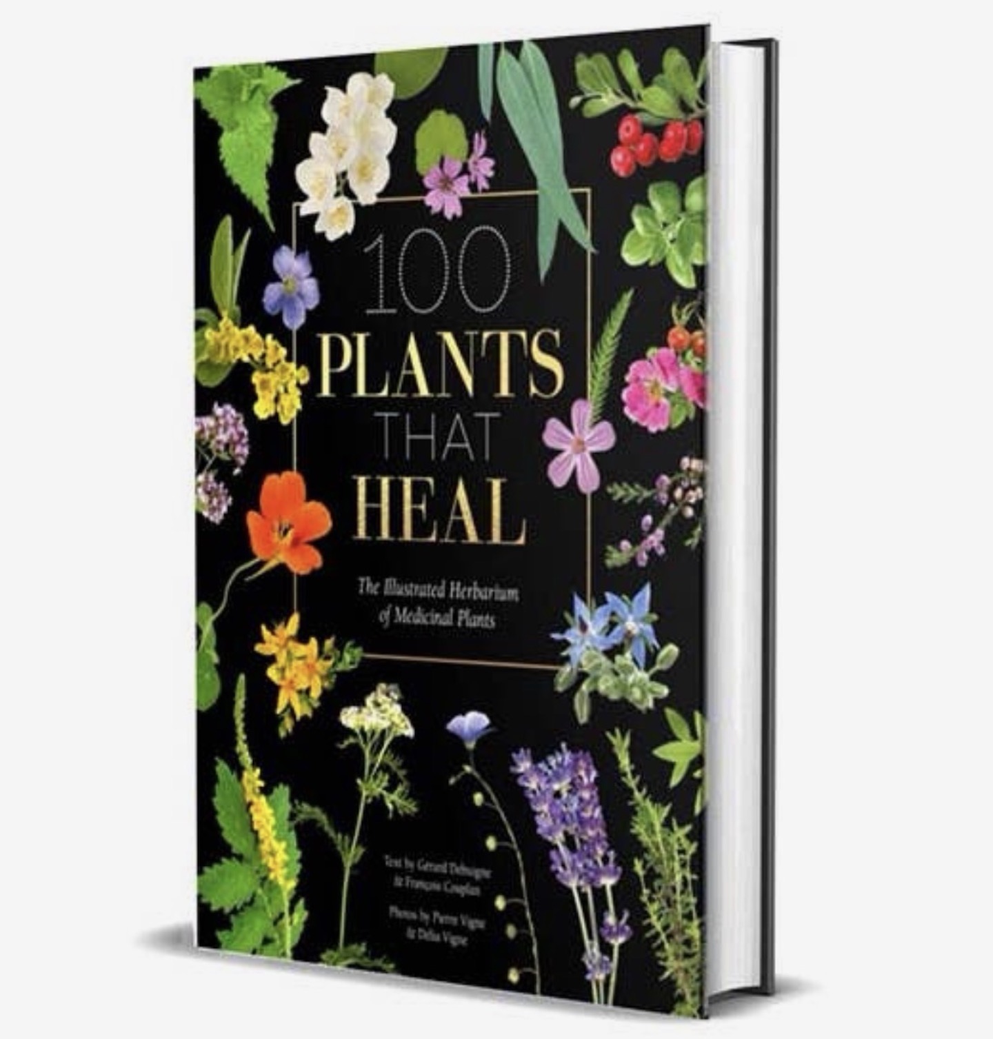 100 plants that heal 100 plants that heal